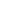 Icon 1 1