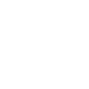 Icon 3 1