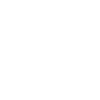 Icon 6 1